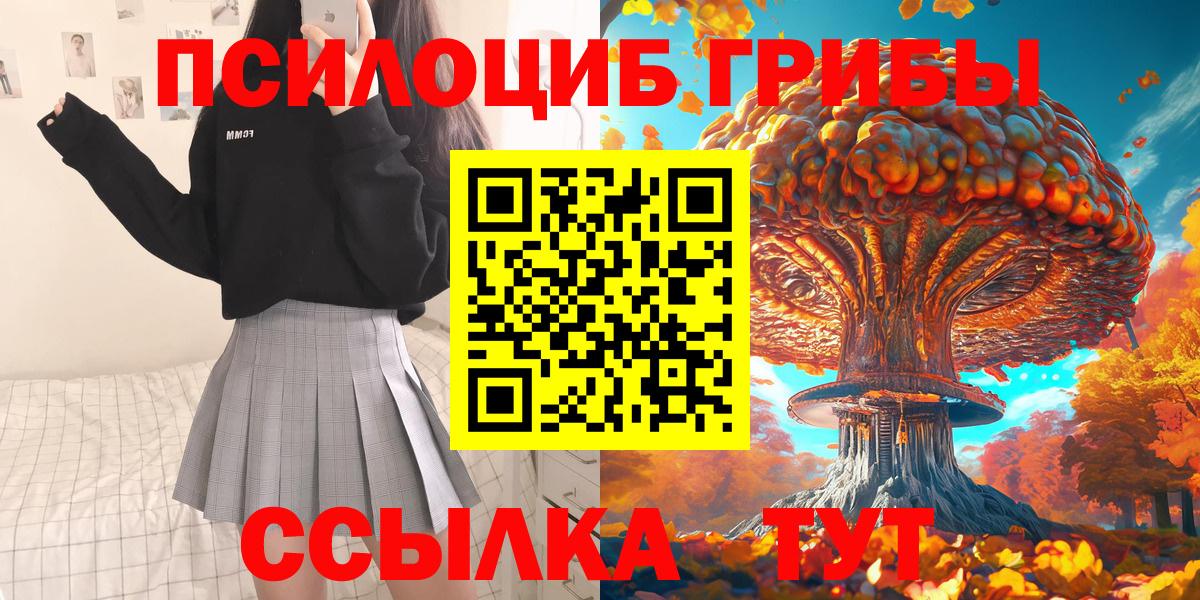 Галлюциногенные грибы Psilocybine cubensis  Вход с VPN  Богданович 